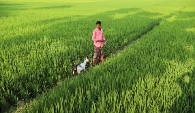বিশেষ কর্মসূচি ঘোষণা