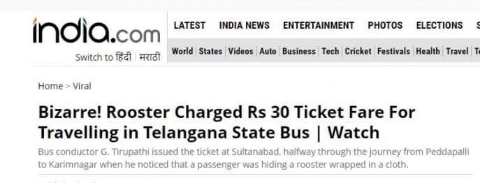 rooster_fined_inside