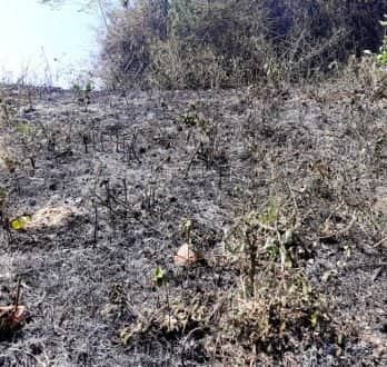 প্রশাসনের কেউ আগুন লাগালে তার বিরুদ্ধে ব্যবস্থা নেয়া হবে : কুবি রেজিস্ট্রার
