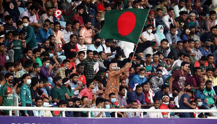 খেলার দর্শকরাই যখন বিশেষজ্ঞ!