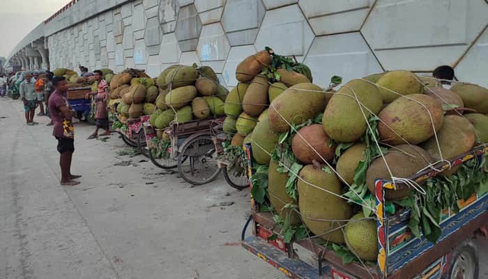 কাঁঠাল