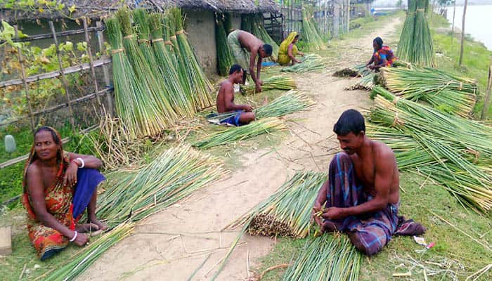 মাদুর