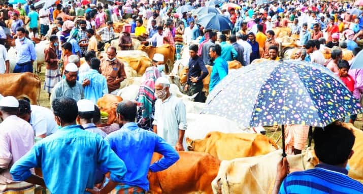 পশুর হাটে ক্রেতাদের উপচে পড়া ভিড়