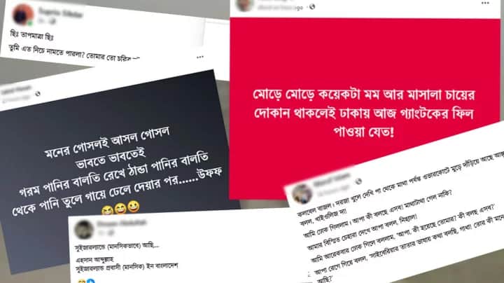 ফেসবুক ব্যবহারকারী