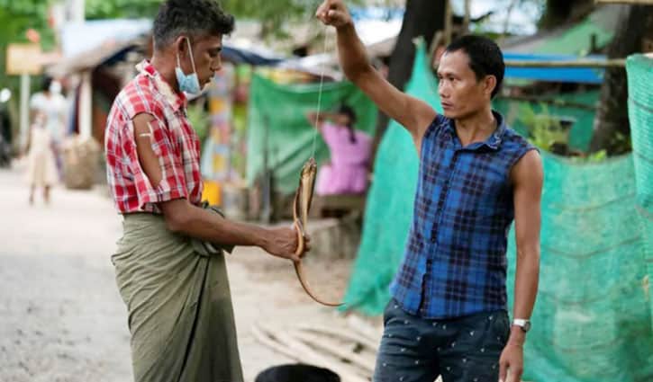 ইঁদুর-সাপ খাচ্ছে মিয়ানমারের বাসিন্দারা
