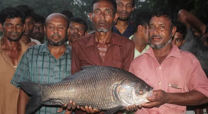 ৮ কেজির মাছ ধরে ২ লাখ!