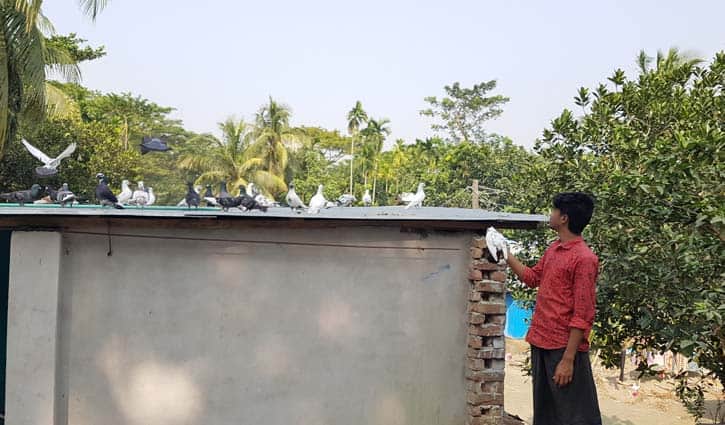 কবুতর-২