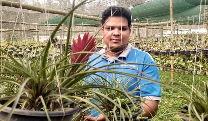 অর্কেট-২