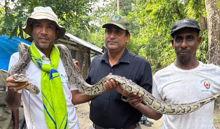 অজগর