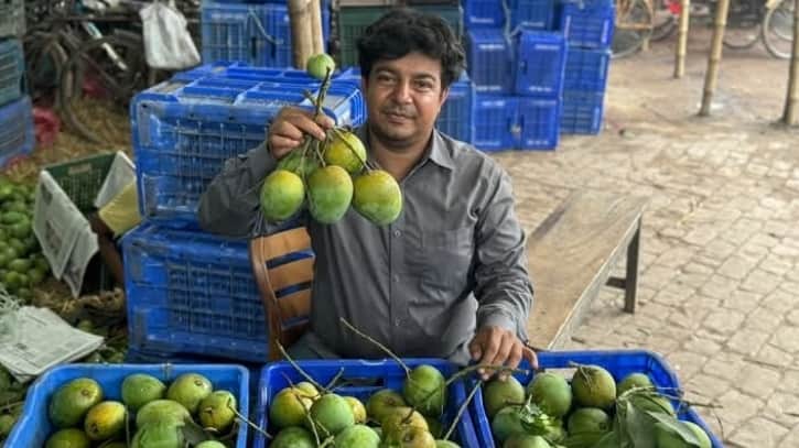 তারেক