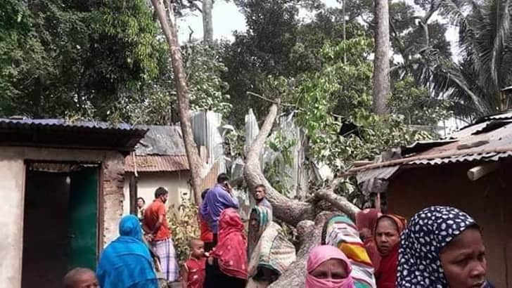 কালবৈশাখী ঝড়ে লণ্ডভণ্ড গাছপালা, প্রাণ গেল নারীর