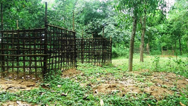 কবরস্থানে ফল গাছ লাগানো এবং তা খাওয়া কি জায়েজ?