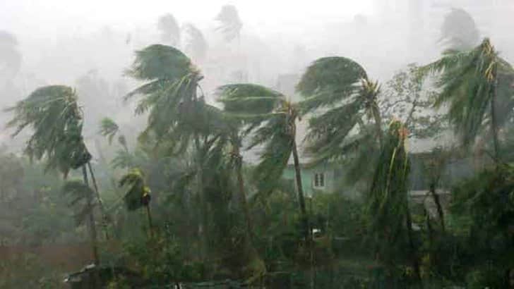 কালবৈশাখী ঝড়ে বৃদ্ধের মৃত্যু