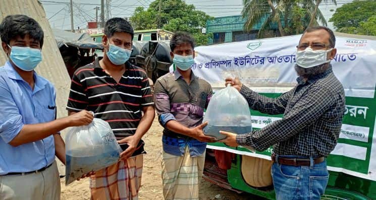 কলেজ বাজারে বিনামূল্যে মাছের পোনা বিতরণ করল মমতা