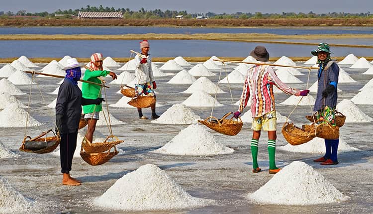 প্রতি কেজি লবণ ৪ টাকা, হতাশ কক্সবাজারের চাষিরা