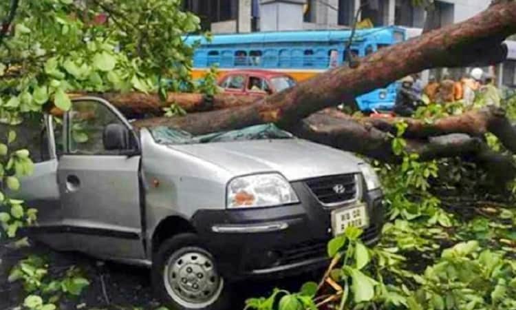 ঘূর্ণিঝড় আম্ফানে ভারতে নিহতের সংখ্যা বেড়ে ১২