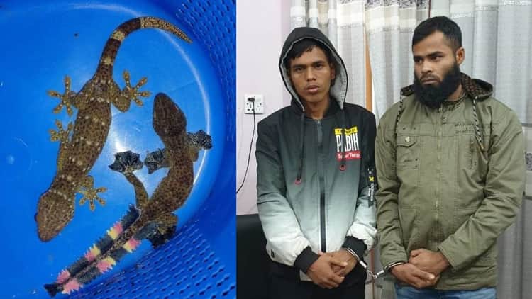 কোটি টাকা মূল্যের তক্ষকসহ আটক ২