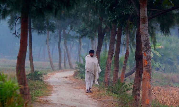 দেশের উত্তরাঞ্চলে শৈত্যপ্রবাহ বাড়বে