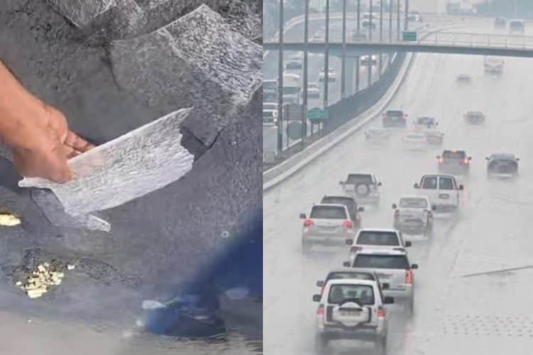 fog
