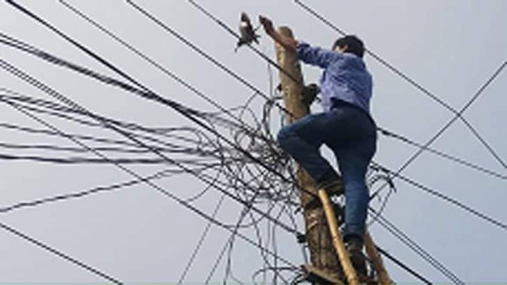 অবশেষে আটকেপড়া শালিকটি উদ্ধার করল দমকল বাহিনী