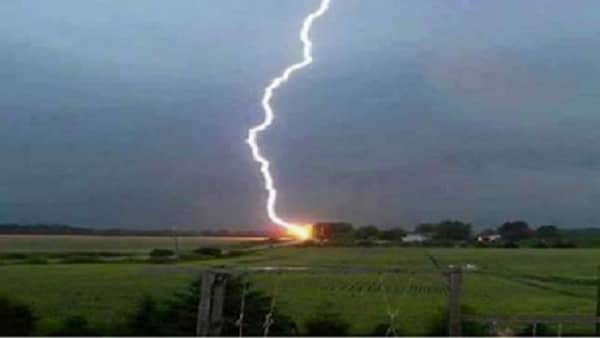 বজ্রপাতে ধানক্ষেতেই মারা গেলেন বাবা-ছেলে