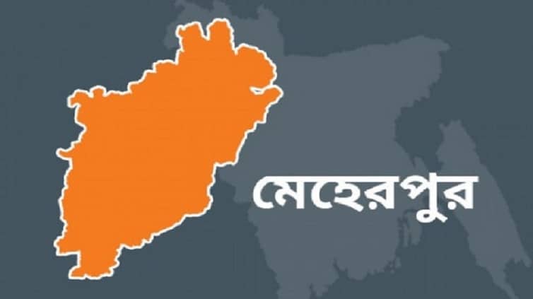 মুকুলের মৌ-মৌ গন্ধে ভরা এখন মেহেরপুরের আম বাগানগুলো