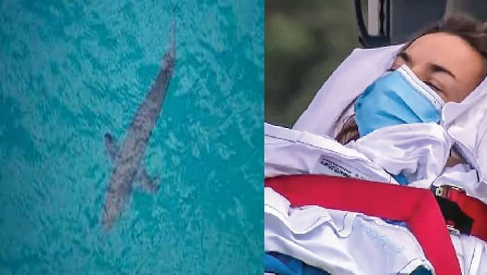 হাঙ্গরকে ঘুষি মেরে স্ত্রীকে বাঁচালেন এক অস্ট্রেলিয়ান সার্ফার