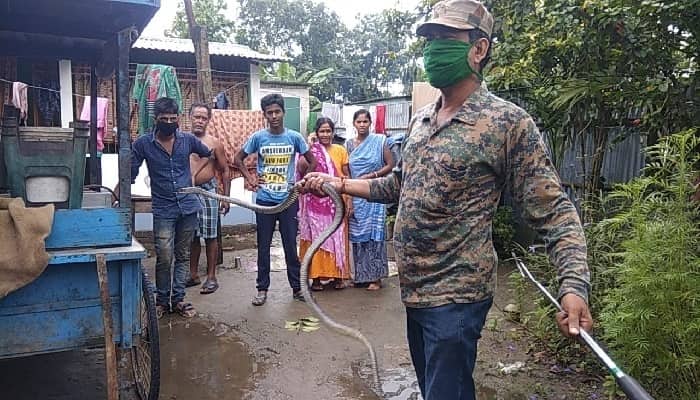 হেডফোন ভেবে সাপের লেজ ধরেই টানাটানি যুবকের