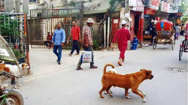 ‘ঘোড়ার লাথি খেয়ে’ ১২ জনকে কামড়ালো কুকুরটি