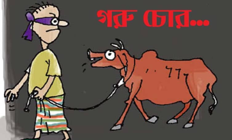 কৃষকের আহাজারি, গোয়ালঘর খালি করে সব গরু নিয়ে গেল চোর