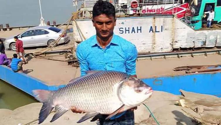 এক কাতলের দাম ২০ হাজার টাকা