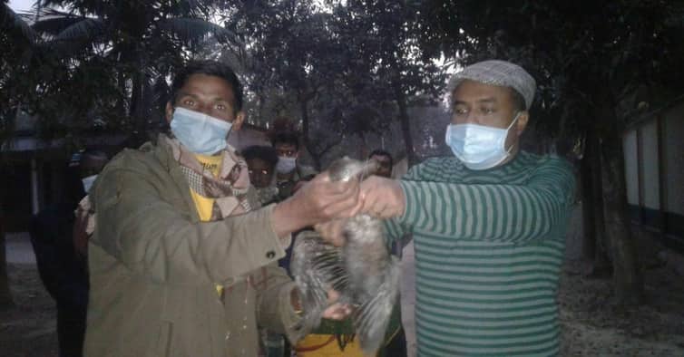উদ্ধার হওয়া পাখি অবমুক্ত করলেন সাপাহার ইউএনও কল্যাণ চৌধুরী