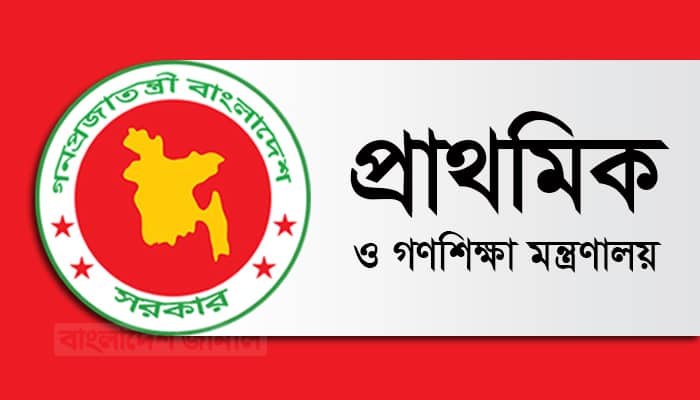 হঠাৎ গণশিক্ষা মন্ত্রণালয়ের যে কার্যক্রম স্থগিত