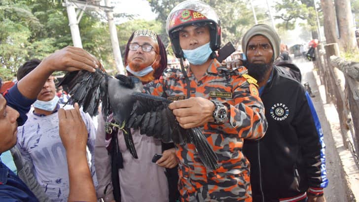 একটি কাক বাঁচাতে ফায়ার সার্ভিসের অভিযান