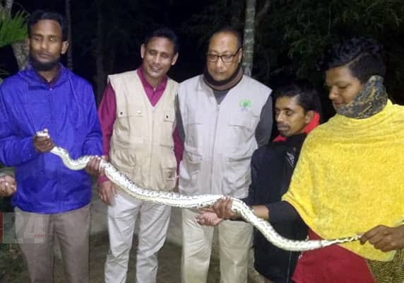 বাগেরহাটে সবজি ক্ষেত থেকে অজগর সাপ উদ্ধার