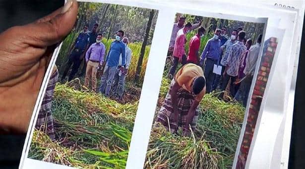 জোর করে কৃষকের কাঁচা ধান কেটে ঘর তুললেন ইউএনও!