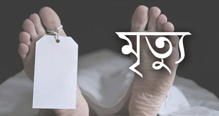 ছোট ভাইয়ের স্ত্রীর লাঠির আঘাতে ভাসুরের মৃত্যু