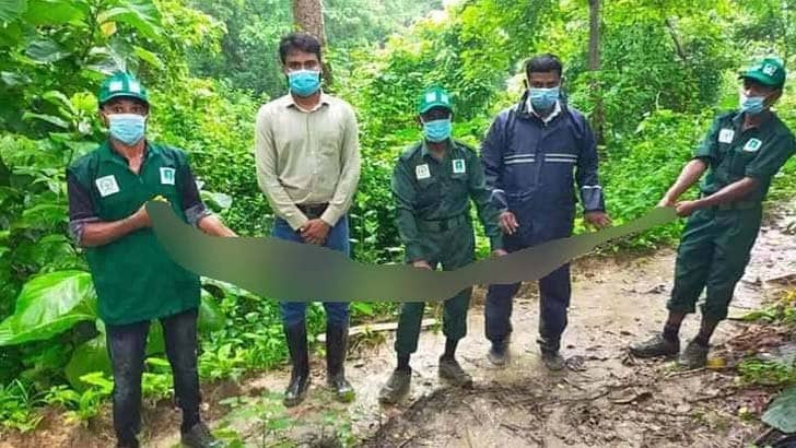 ইনানীর লোকালয়ে সাড়ে ১১ ফুট লম্বা অজগর