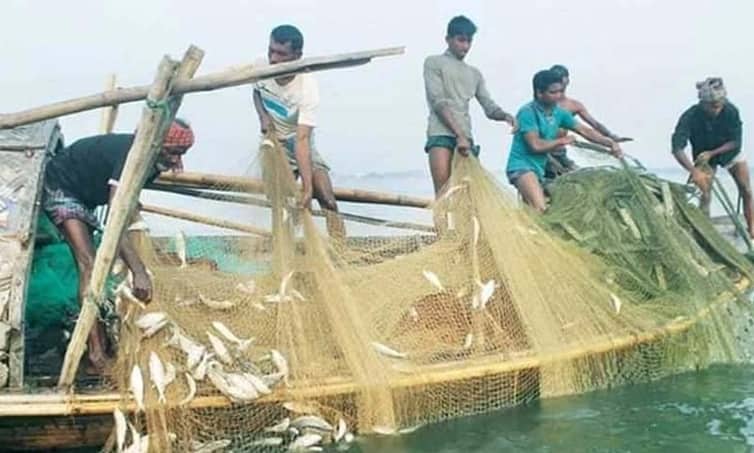 রাত ১২টার পর থেকে আবার ইলিশ ধরতে পারবেন জেলেরা জেলেরা ইলিশ ধরতে পারবেন