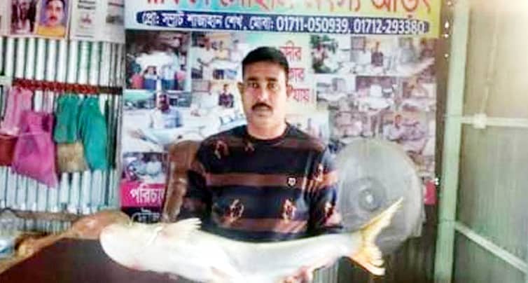 মাছের দাম