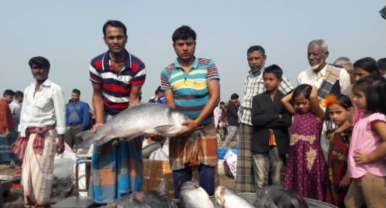 মাছের মেলায় জামাই-শ্বশুরের প্রতিযোগিতা