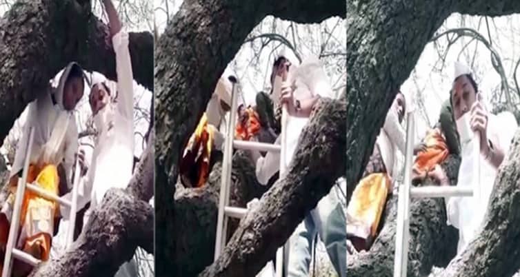 নারীরা