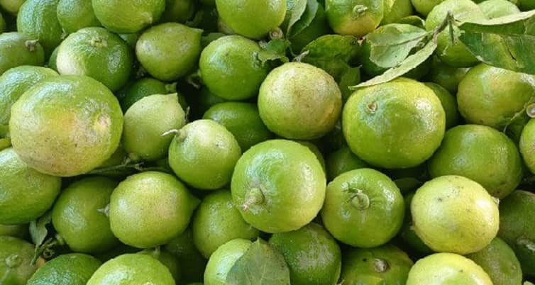 ১ কেজি আলুর দামে বিক্রি হচ্ছে ১টি লেবু লেবু