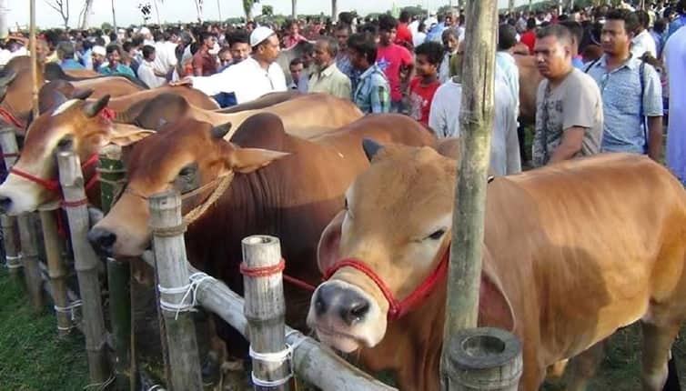 কোরবানির হাট