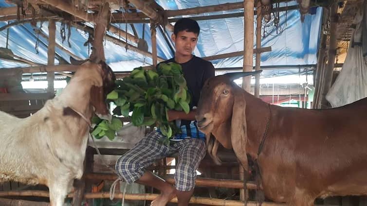 গাবতলী হাটে 'রাজা বাবু' ছাগল, দাম আড়াই লাখ!