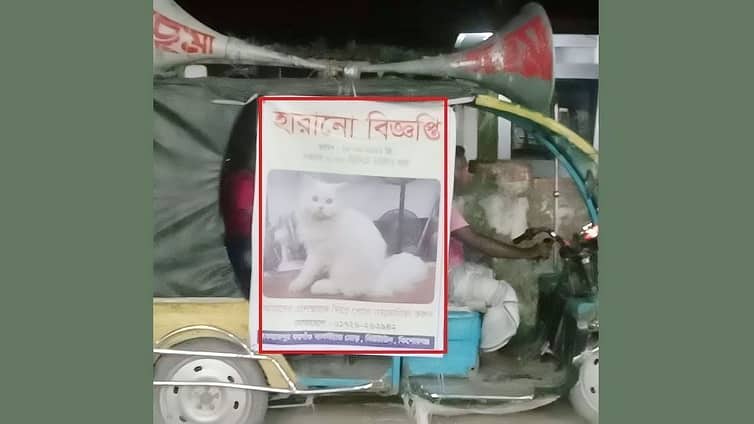 পোষা বিড়ালের জন্য ৩ দিন ধরে মাইকিং!