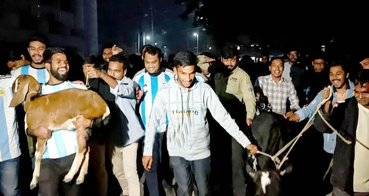 রাবিতে গরু-ছাগল নিয়ে আর্জেন্টিনা সমর্থকদের জয়োল্লাস গরু-ছাগল-নিয়ে-জয়োল্লাস