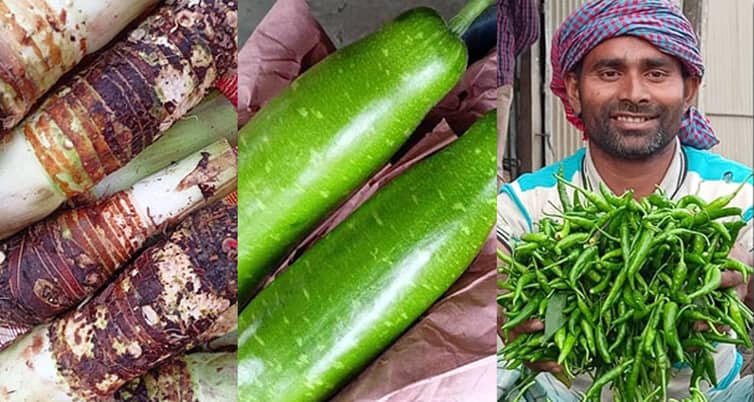 পদ্মা সেতুর সুফল, জাজিরার সবজি যাচ্ছে সুইজারল্যান্ডে পদ্মা সেতুর সুফল