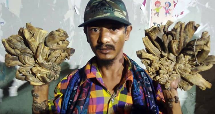 আবারও আবুল বাজানদারের হাতে শেকড় গজিয়েছে হাতে শেকড়