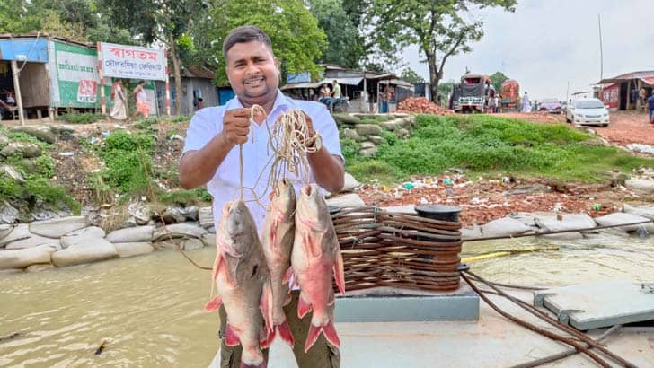 পদ্মায় ৬ কেজি ওজনের রিটা মাছ, বিক্রি হলো যত টাকায়